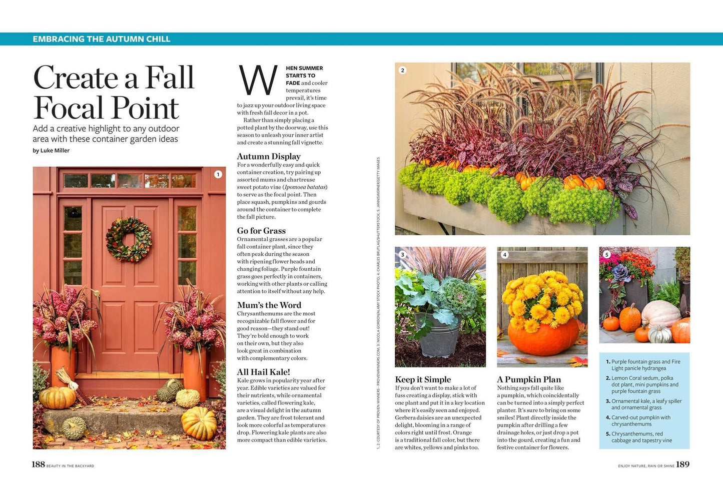 Birds & Blooms Beauty in the Backyard: 300+ TIPS, HINTS AND GARDEN GREATS TO CREATE AN OUTDOOR SPACE YOU CAN APPRECIATE YEAR-ROUND