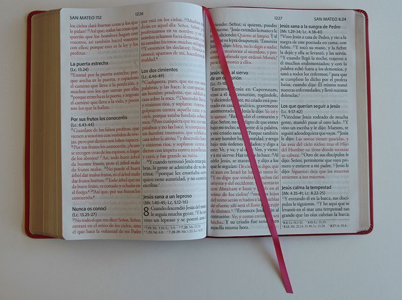 Biblia Reina Valera Revisada 1960 letra súper gigante, símil piel fucsia rosada / Spanish Bible RVR 1960 Super Giant Print, Fuchsia Pink Leathersoft