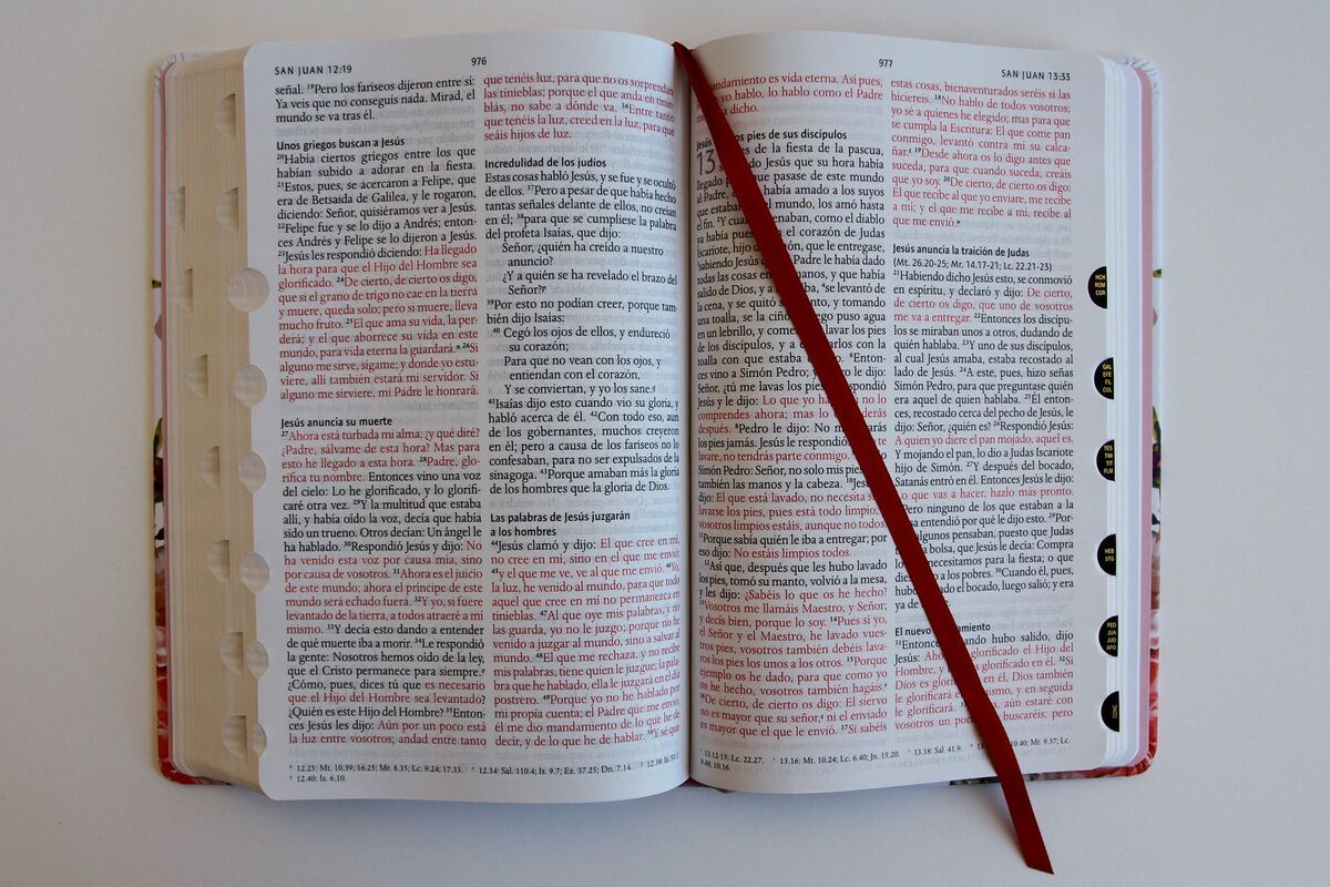 Biblia Reina Valera 1960 letra grande. Tapa dura, tela rosada con flores, tamaño manual con índice / Spanish Bible RVR 1960, Large Print, Hardcover, Pink Cl