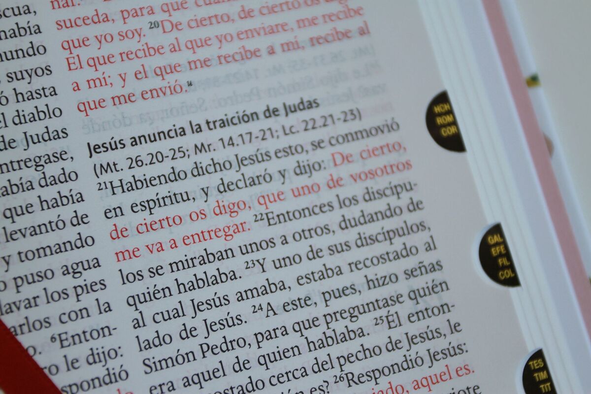 Biblia Reina Valera 1960 letra grande. Tapa dura, tela rosada con flores, tamaño manual con índice / Spanish Bible RVR 1960, Large Print, Hardcover, Pink Cl