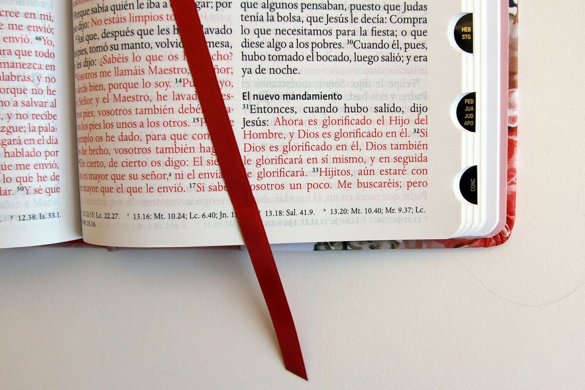 Biblia Reina Valera 1960 letra grande. Tapa dura, tela rosada con flores, tamaño manual con índice / Spanish Bible RVR 1960, Large Print, Hardcover, Pink Cl