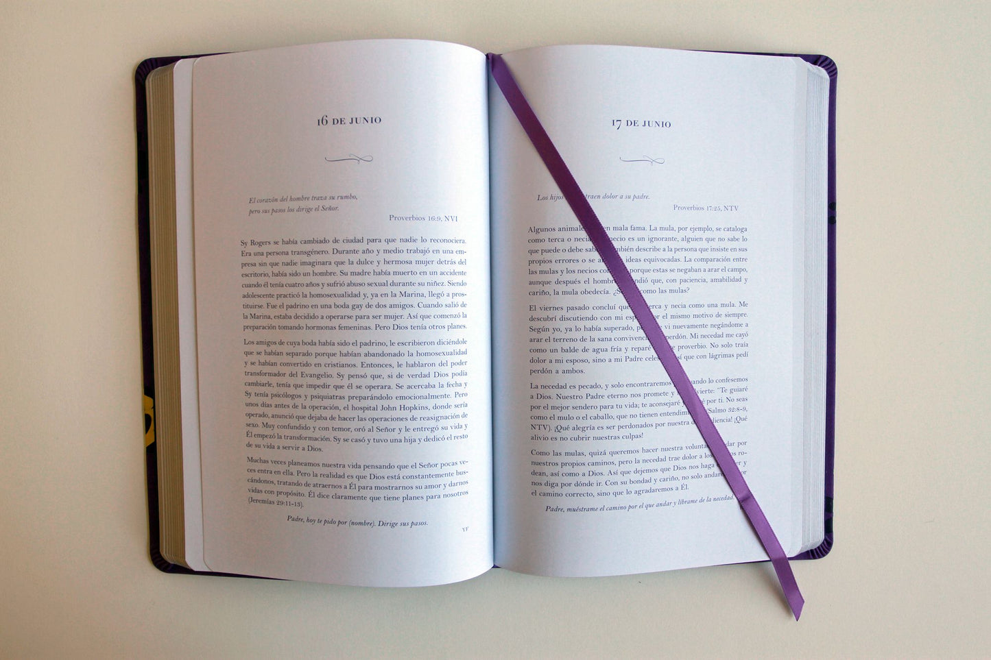 Un año con Dios: 365 devocionales para la mujer / A Year with God. Purple Leathe rsoft: 365 Devotions for Women