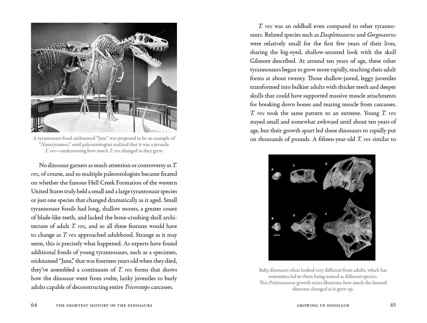 The Shortest History of the Dinosaurs: The 230-Million-Year Story of Their Reign and Their World