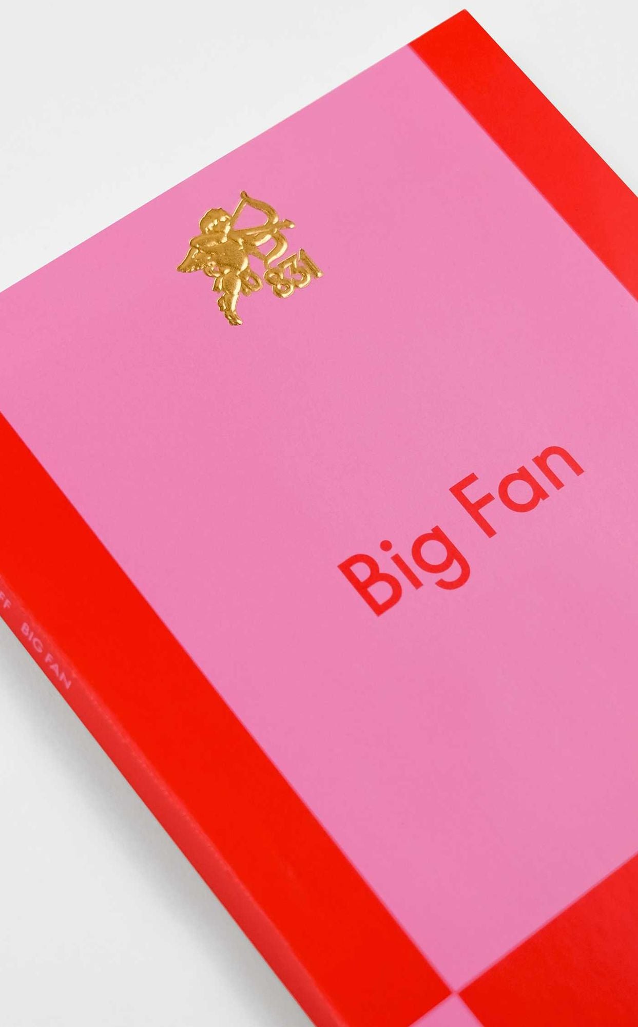 Big Fan: A Modern Romance