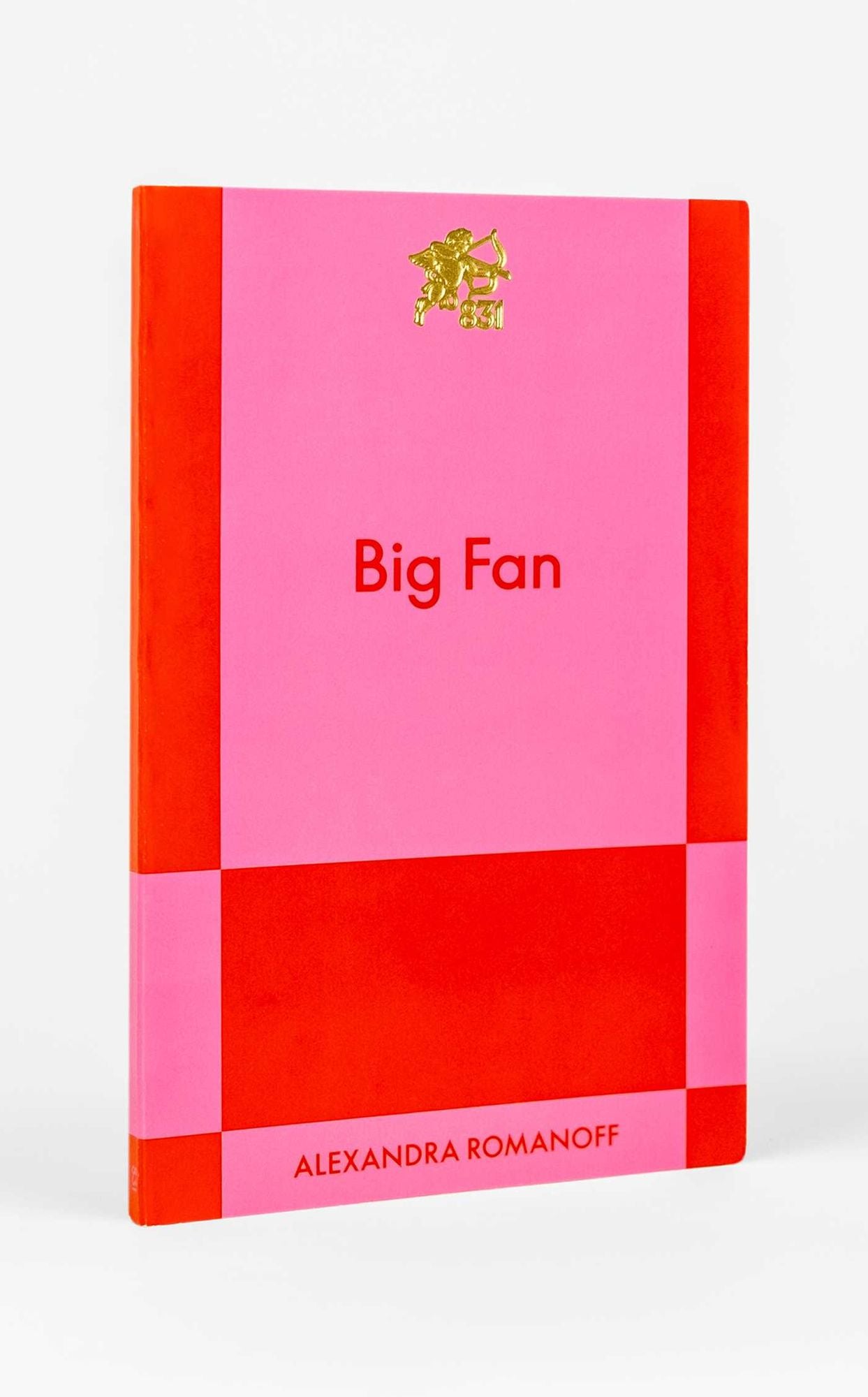Big Fan: A Modern Romance