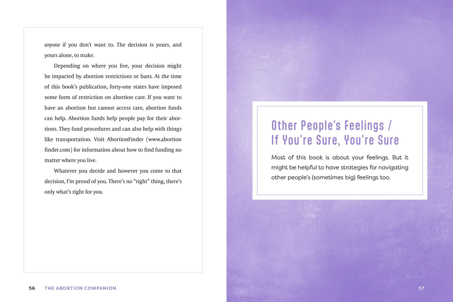 The Abortion Companion: An Affirming Handbook for Your Choice and Your Journey